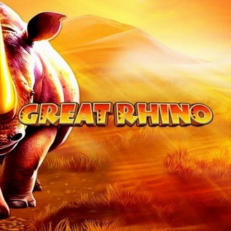 Bingo Casino Nederland