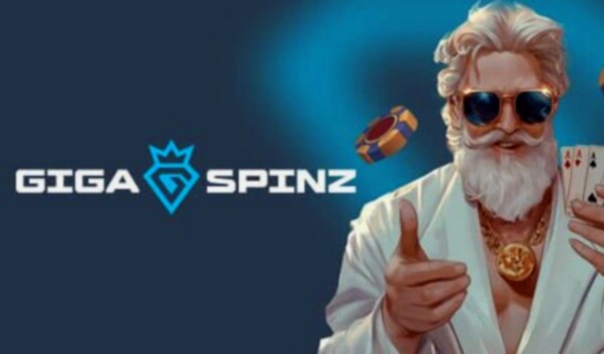 Bingo Casino Online NL