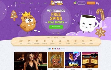 Vavada Casino Login Nl Legaal