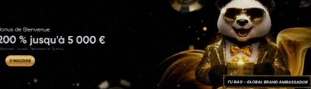 356 Casino registratie