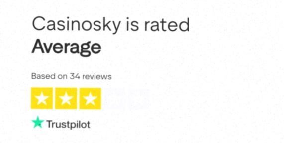 Wolf Slots Casino betaalmethoden