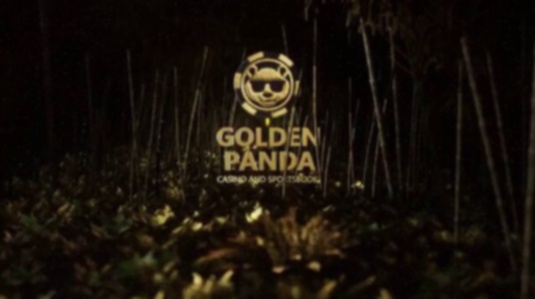 Cashino Casino Bonus Nederland