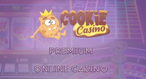 Flash Casino Assen verantwoord spelen