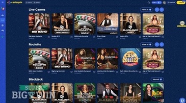 Nederlandse Casinos App Interface