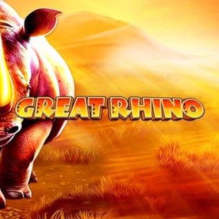 Reddice Casino Inloggen Registratie