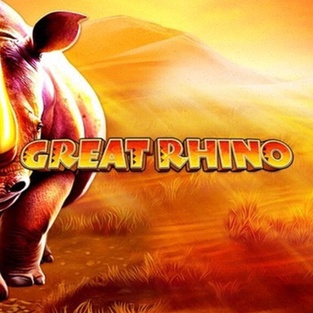 Casino Roulette Set Online Nl