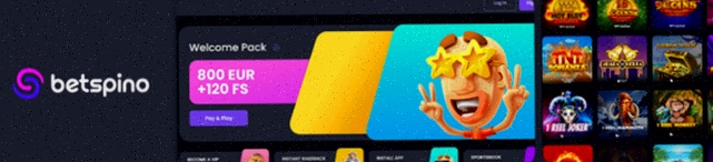 Riskcasino Betaalmethoden Nederland