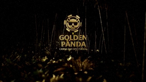 Spin City Casino app