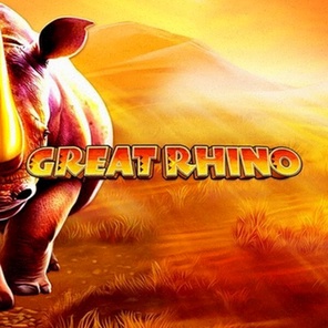 Online Casino Mobile App