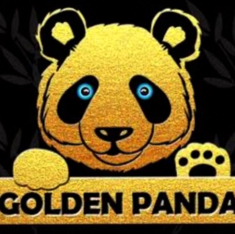 Holland Casino Utrecht betalingen